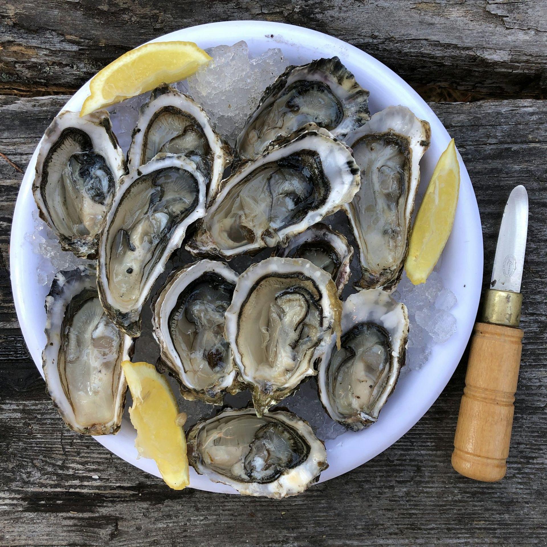 Yani's Oesters, foto 3