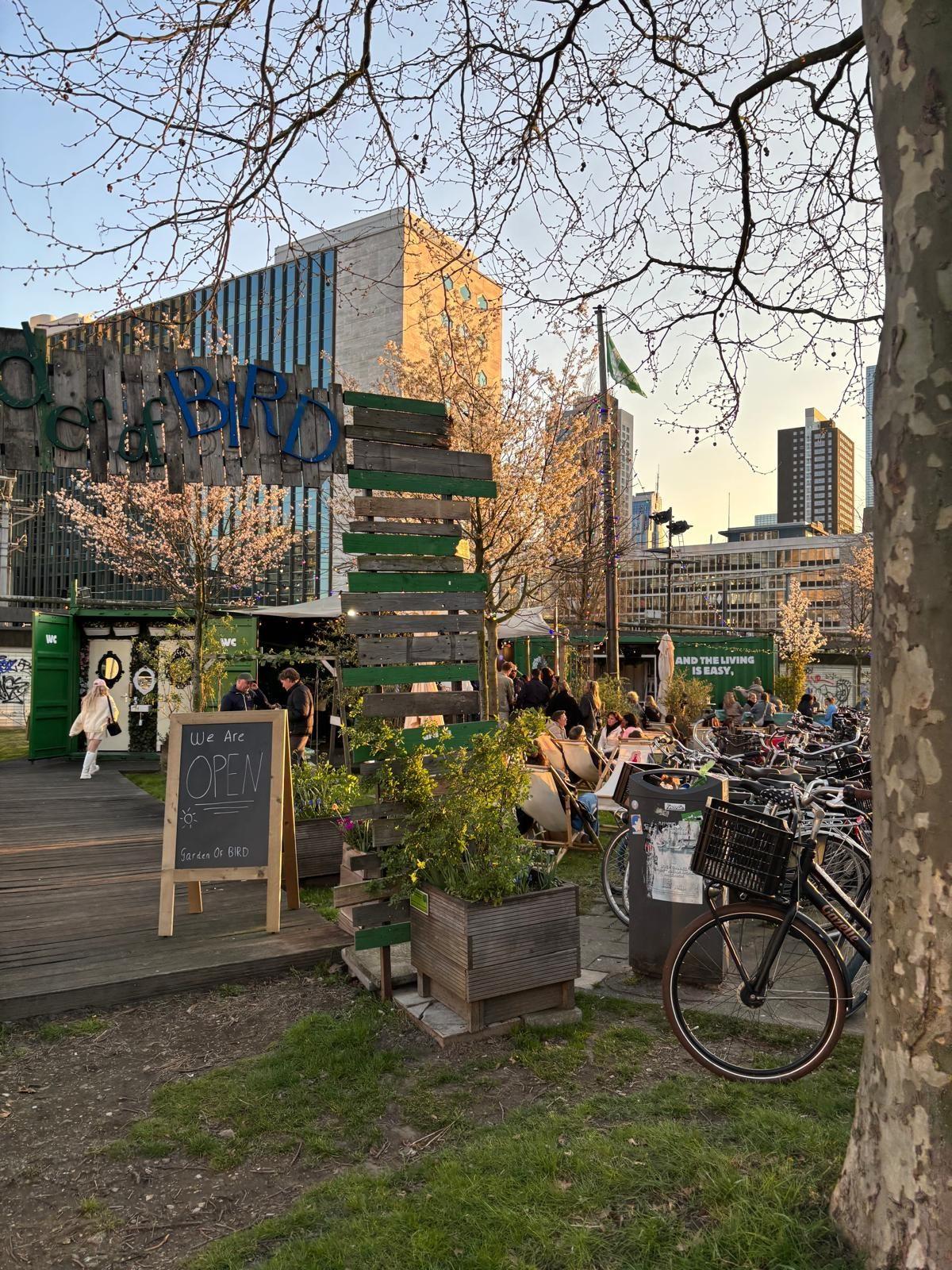 BIRD Rotterdam, foto 28