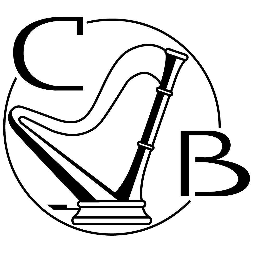 Carla Bos, harpist, foto 3